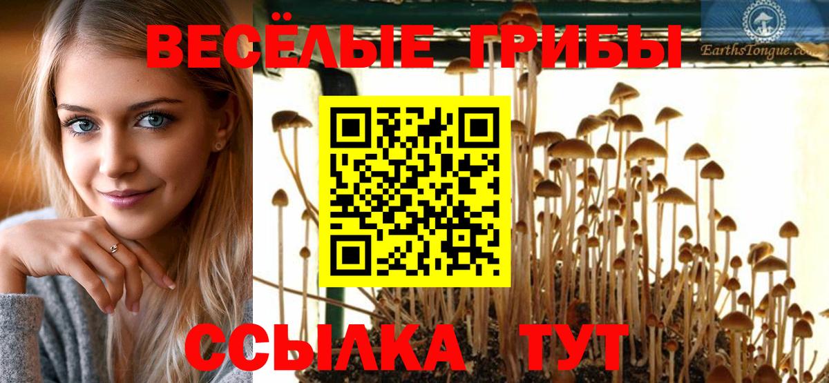 Псилоцибиновые грибы Cubensis Ярцево