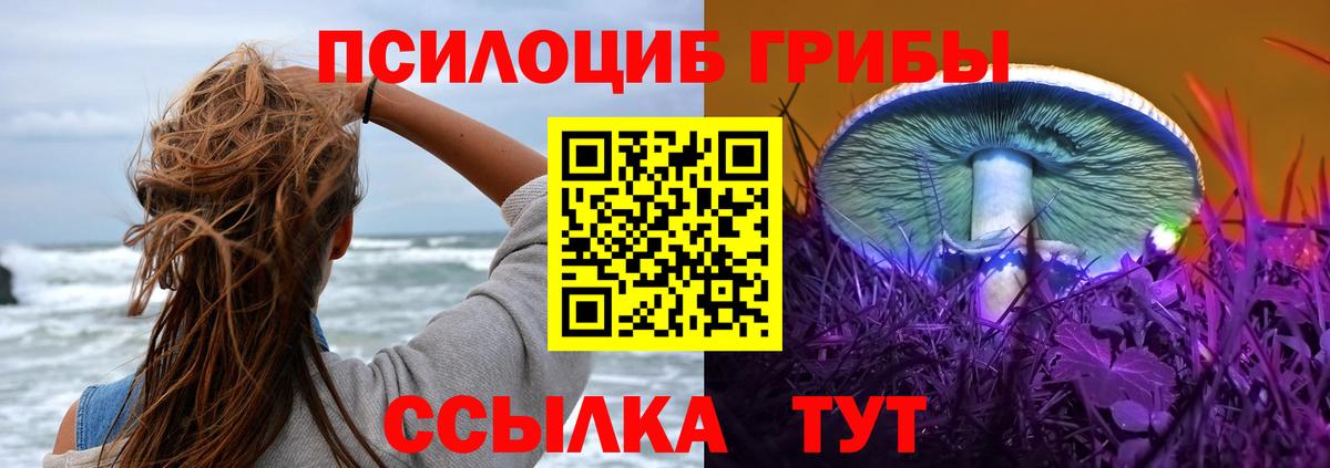 Галлюциногенные грибы GOLDEN TEACHER  Вход с VPN  Ярцево 